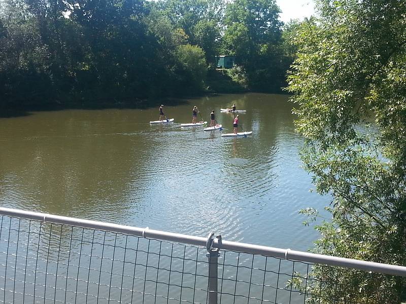 Dámy na paddleboardech