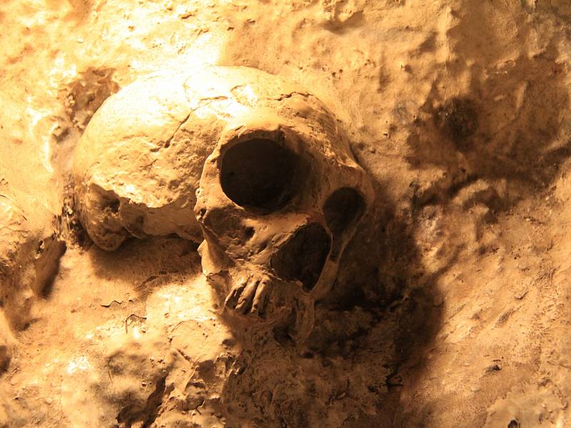 Replika neandertálské lebky staré 40 tisíc let, která byla objevena v jeskyni St. Michael's na Gibraltaru