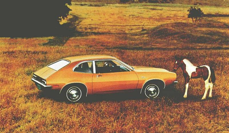 Ford Pinto byl v době, kdy ho vyráběli (1971 – 1980), často terčem kritiky, že špatně umístěná nádrž může za fatální následky při srážce zezadu. Ještě horší pověst ale měl na jednom z trhů, pro který byl určen. Pinto totiž v Brazílii znamená „malý penis“.