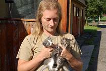 Dvě, asi sedmitýdenní koťata, která pomalu umírala v pevně zavázané igelitové tašce, našel v pátek ráno Marek Hodan z Domažlic v lese