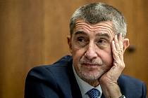 Předseda hnutí ANO Andrej Babiš