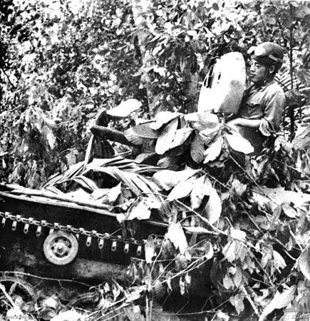 Japonský tank s kamufláží z listoví, který se účastnil bitvy v oblasti Gemasu