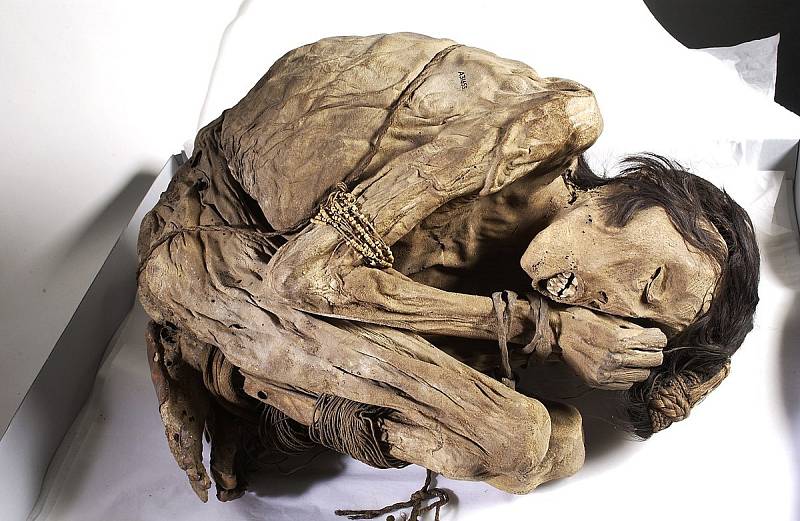 Tato starší přirozeně zachovalá mumie peruánského muže, uložená do polohy plodu v lůně, se svázanýma rukama a nohama. V podobné poloze se nacházela i nově nalezená mumie, která však měla provaz hustě omotán i kolem těla