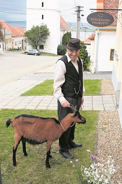 JAKO JAN FUKSA. V seriálu dělá Miroslavu Táborskému společnost koza neboli vesnická Sibyla. 