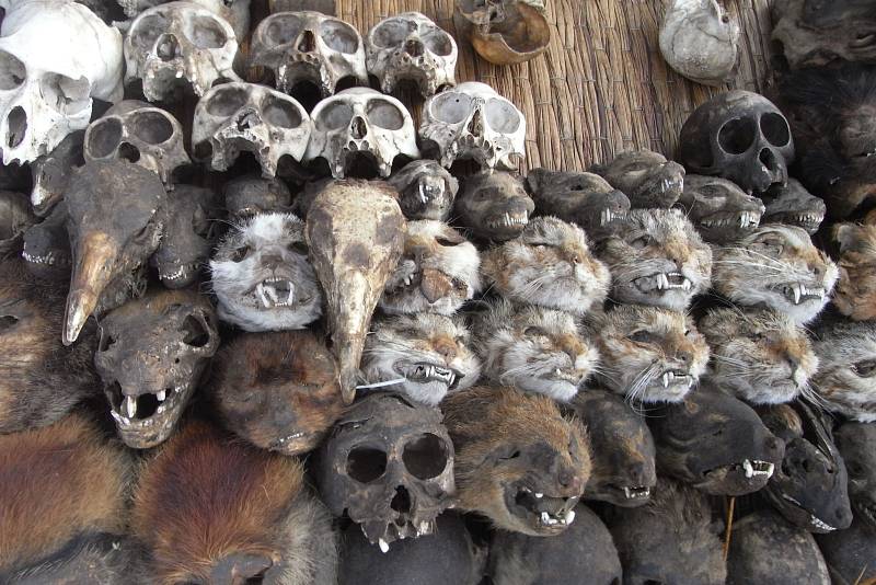Kupuje se zde zboží pro voodoo rituály i léčbu vážných nemocí.