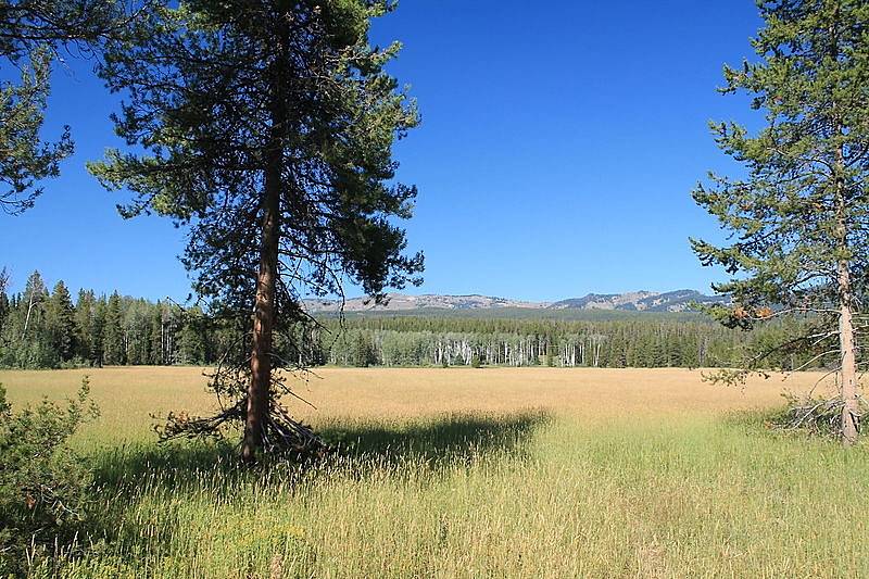 Národní park Yellowstone má mnoho tváří