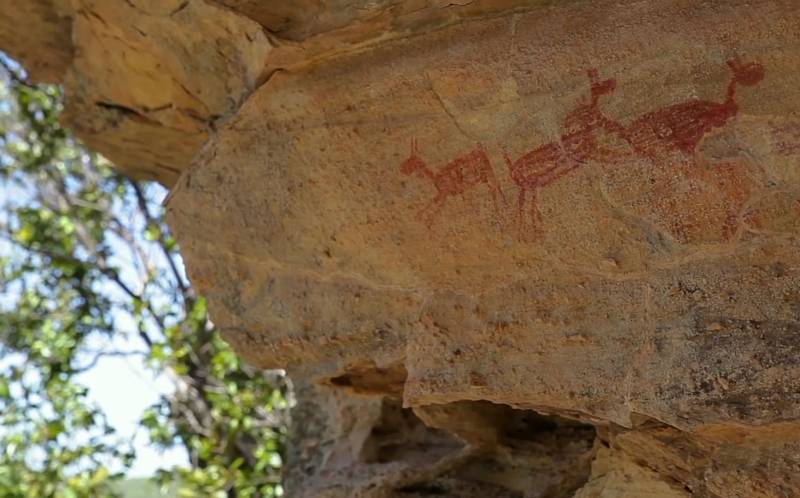 Kultura Clovis byla nejrozšířenější paleolitickou kulturou v Severní Americe. Šlo o sběrače a lovce mamutů