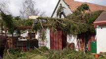 Situace na Nymbursku, v Chotěšicích - Všechny smrky z ulice to zničilo. Zaplaťpánbu směr jejich pádu byl v naší ulici takový, že nanadělal větší škody na majetku.