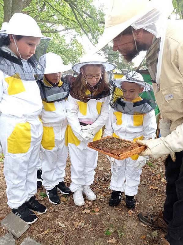 Salesiánské středisko mládeže České Budějovice zahájilo prodej vlastního medu