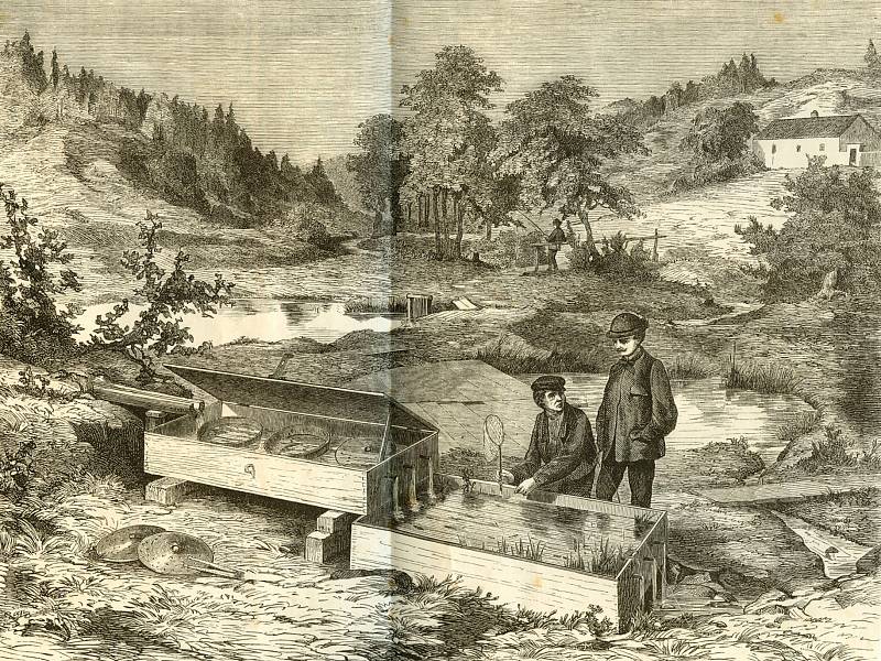 Die Fluss-fischerei in Böhmen 1871