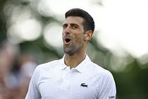 Srbský šampion Novak Djokovič zaútočí na osmý wimbledonský triumf