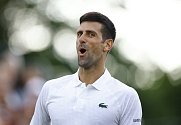 Srbský šampion Novak Djokovič zaútočí na osmý wimbledonský triumf