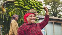 Je vhodné skladovat každý banán zvlášť. Rozdělit trs bychom ale měli až v momentě, kdy plody zežloutnou