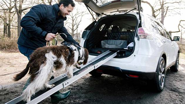 Koncept Nissan X-Trail 4Dogs.