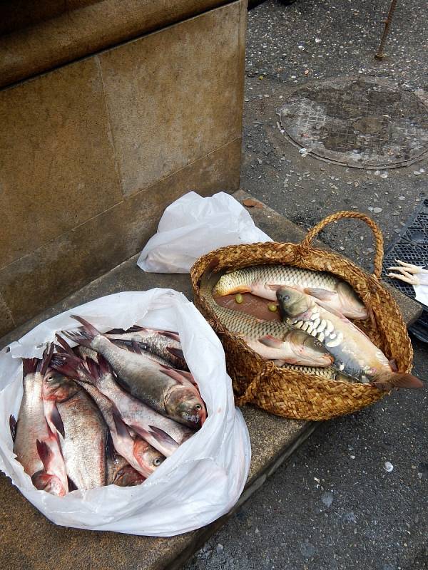 Ryby z Kaspického moře tu koupíte na trhu, ale i na rohu ulice. Vábně nevypadaly.