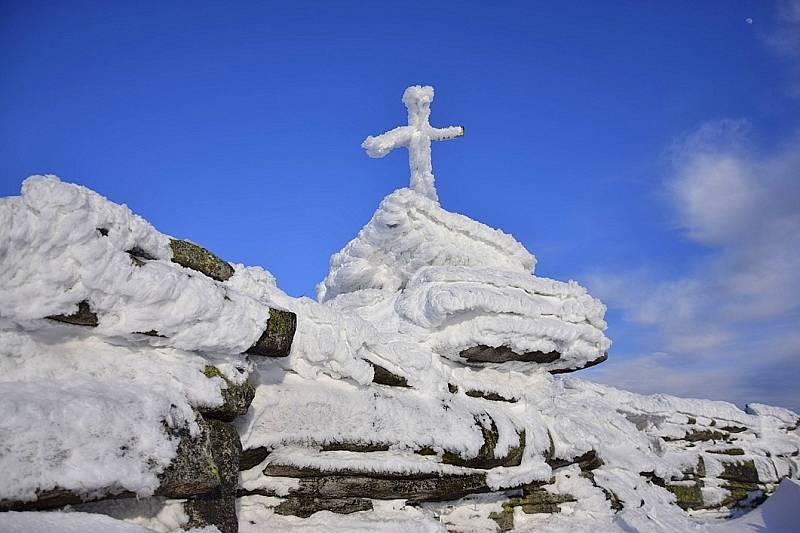 Třístoličník v zimě.