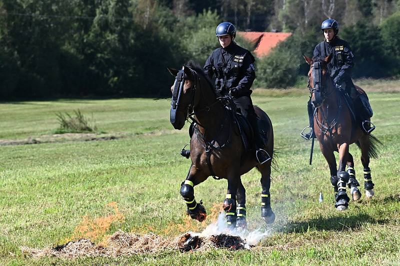 Policie založila roku 1991 jízdní oddíl v Praze, o dva roky později také ve Zlíně a v Brně. Služební koně používají i strážníci městské policie v Ostravě, Pardubicích a v Praze.