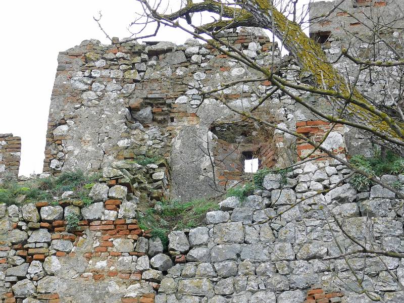 Stavba tvoří protáhlý, nepravidelný obdélník, asi 65 metrů dlouhý a přibližně 20 metrů široký, uzavřený vysokou hradební zdí. Postrádá se na ní typická věž, která bývala součástí středověkých hradů.