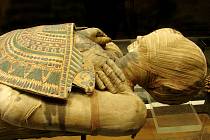 Mumifikaci považovali staří Egypťané za posvátné umění, jehož znalost si mezi sebou ústně předávalo jen několik odborníků.