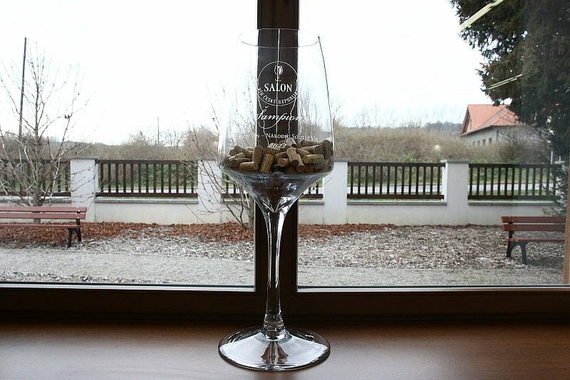 Absolutním šampionem Salonu vín – národní soutěže vín ČR 2022 se stalo bílé víno Chardonnay barrique, EGO No. 97, 2019, výběr z hroznů ze Zámeckého vinařství Bzenec. Porota při finále vybírala ve valtickém Centru Excelence.