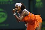 Serena Williamsová znovu okusí pocit být světovou tenisovou jedničkou.