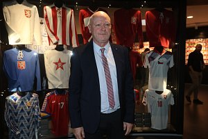 Ivan Hašek je novým trenérem fotbalové reprezentace