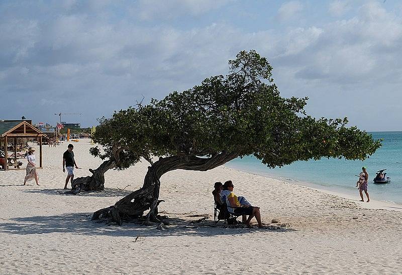 Eagle Beach v oblíbeném americkém letovisku Aruba turisté oceňují zejména pro bílý písek a průzračně čisté moře.