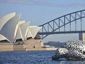  Australská policie dne s evakuovala všechny osoby z budovy Opery v Sydney a v pobřežní čtvrti Manly. 