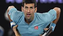 Novak Djokovič na Australian Open.