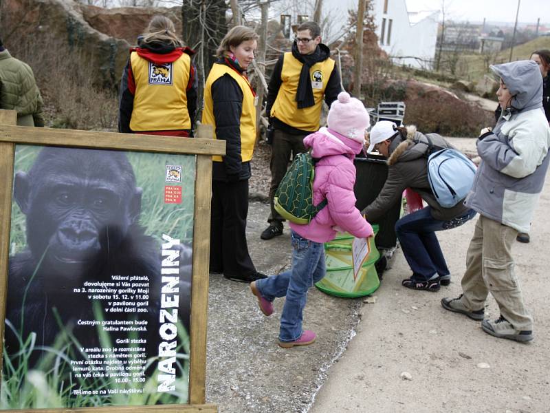 Gorilka Moja oslavila 15. prosince v pražské zoo své třetí narozeniny.