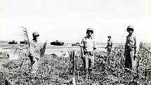 Příslušníci americké námořní pěchoty na zemi, která byla kdysi palmovým hájem. V pozadí japonské tanky zničené americkou střelbou