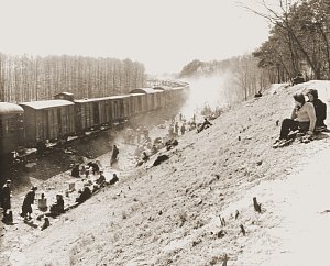 Vězni přepravovaní transportem smrti na východ z koncentračního tábora Bergen-Belsen byli 13. dubna 1945 osvobozeni vojáky 743. tankového praporu poblíž Farslebenu v Německu.