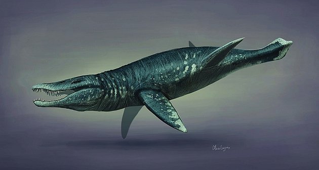 Pliosaurus ilustrační foto.