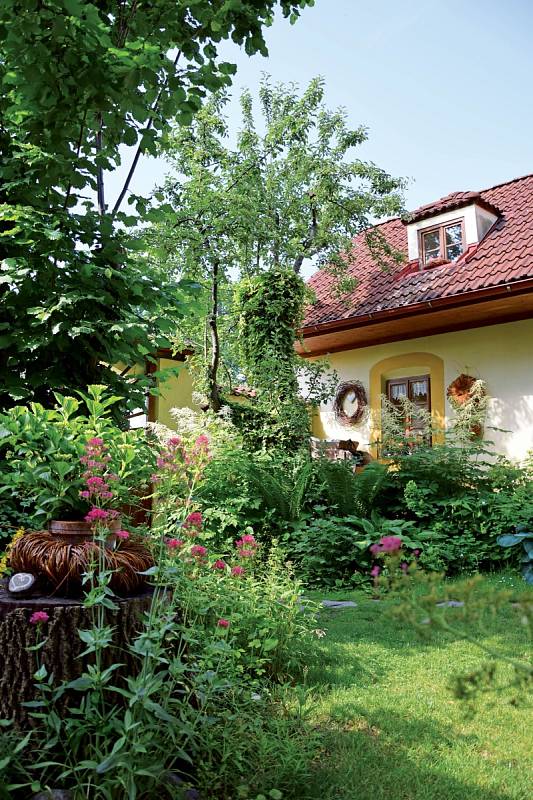 Kvetoucí trvalky, bylinky a staré odrůdy růží jsou v unikátní zahradě v Plavsku stejně doma  jako užitečné včely a motýli.