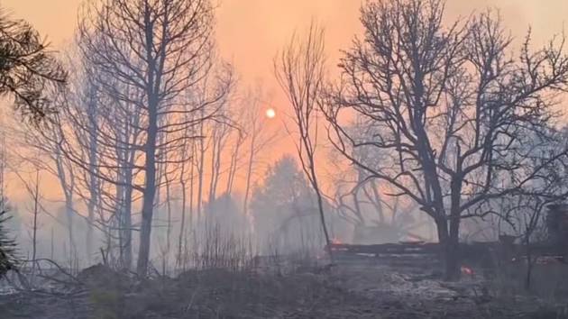 Lesní požáry v okolí někdejší jaderné elektrárny Černobyl