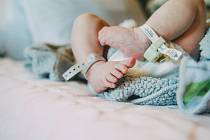 První kontrola kyčlí čeká novorozence již v porodnici.
