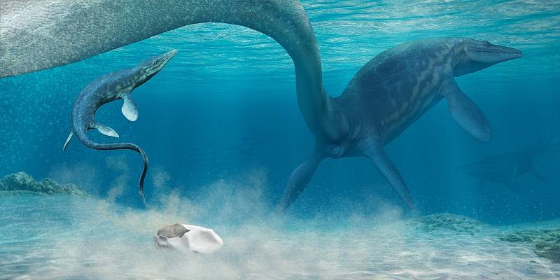 Vodním dinosaurem, jehož mláďata se rodila z vajec s kožnatým obalem, byl i Mosasaurus
