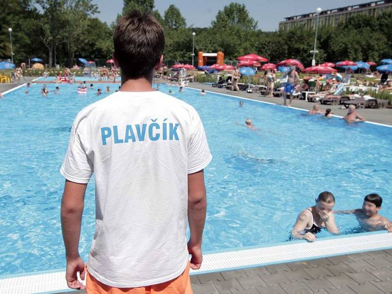 Plavčík. Ilustrační foto