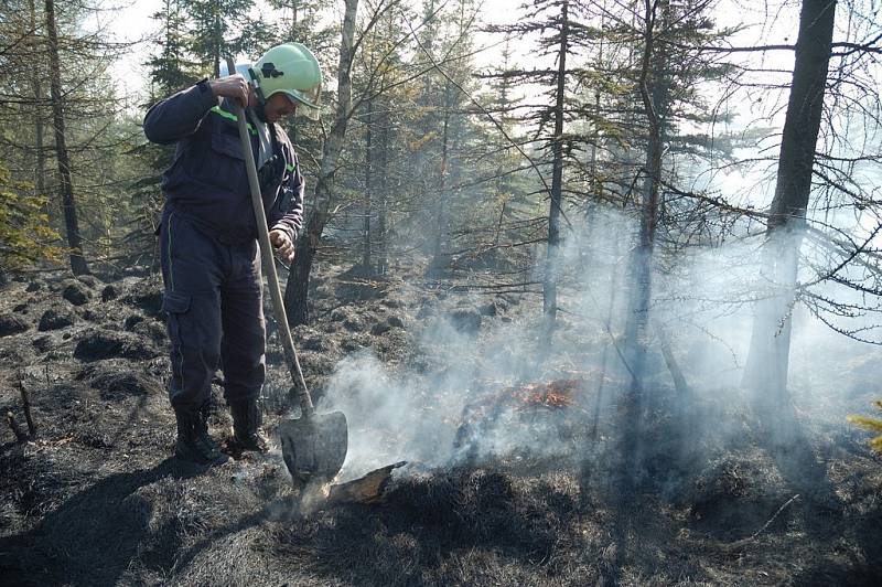 Na vrcholu kopce Šébr u Jiřetína pod Jedlovou vzplanul v neděli odpoledne les