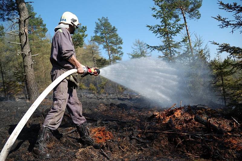 Na vrcholu kopce Šébr u Jiřetína pod Jedlovou vzplanul v neděli odpoledne les