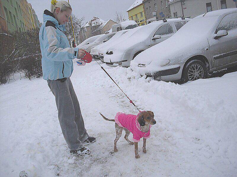 Na Příbramsku napadlo do středečního rána 26. ledna 2011 zase několik centimetrů sněhu. Teploty se pohybovaly kolem nuly. Meteorologové upřesnili předpověď počasí a kvůli proudění studeného vzduchu ze severu upozornili motoristy na ledovku a náledí.