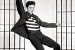 Elvis Presley v jedné ze svých typických tanečních figur