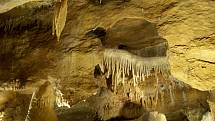 Nejdelší jeskynní komplex v České republice leží nedaleko Berouna. Koněpruské jeskyně byly objeveny v roce 1950 náhodou při odstřelu v místním lomu.