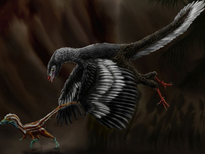 Umělecká rekonstrukce archaeopteryxe pronásledujícího mládě malého masožravého dinosaura compsognathuse