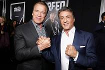 Sylvester Stallone a Arnold Schwarzenegger