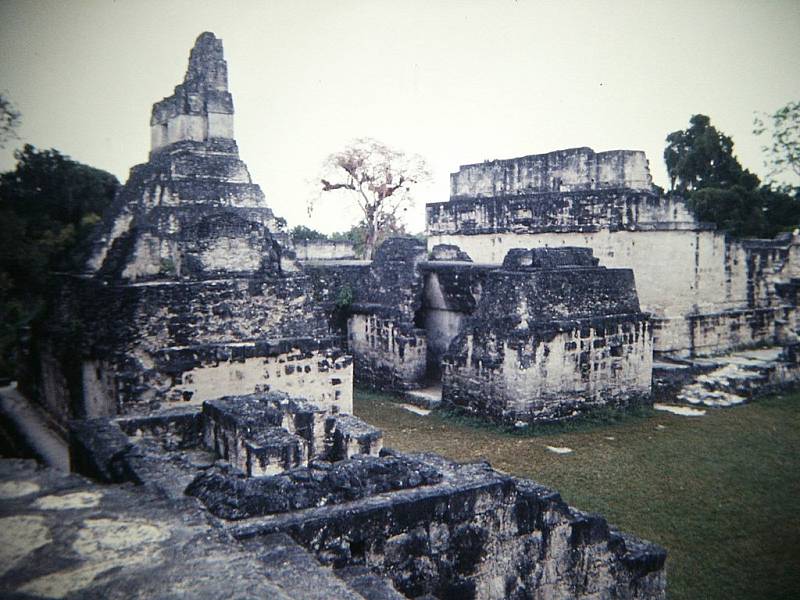 Ruiny nejrozlehlejšího mayského starověkého města Tikal na území dnešní Guatemaly