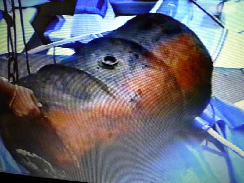Archivní snímek se sudem s tělem jedné z obětí vyloveným potápěči HBZS Ostrava