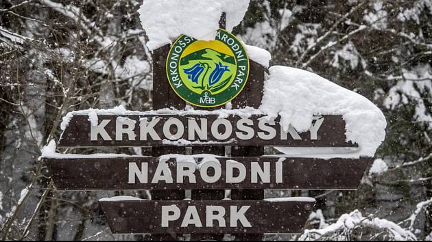 Krkonošský národní park v zimním období. Ilustrační snímek