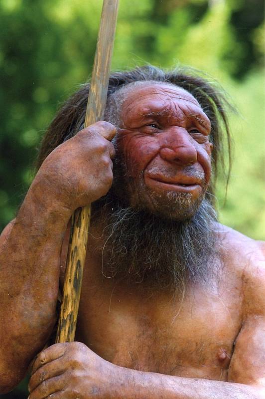 V některých lokalitách, kde žili neandertálci i moderní lidé, se paralelně vyskytovaly některé artefakty.