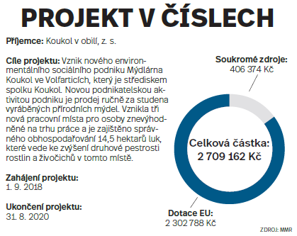 Projekt v číslech